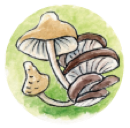 Label „Vitales, langes Leben“